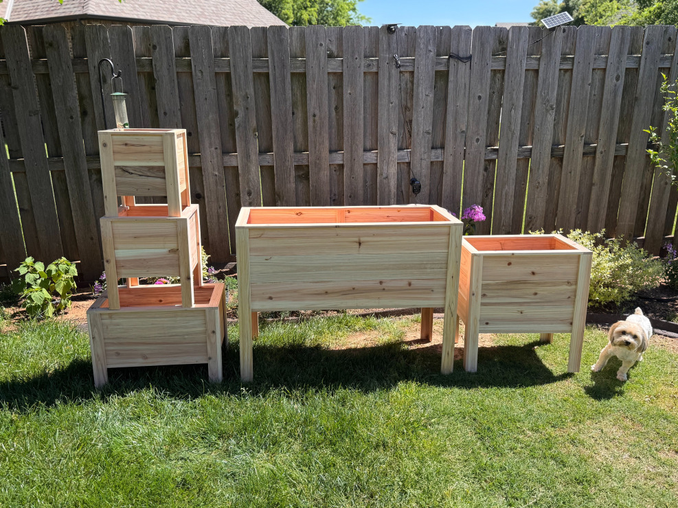 Cedar planters